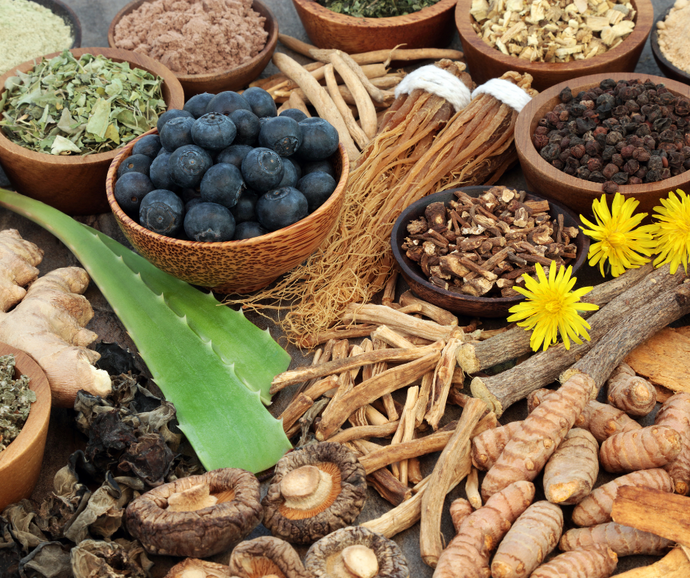 Harnessing Nature's Pharmaceuticals with Adaptogens