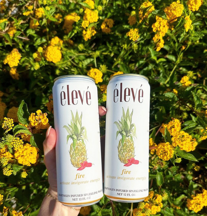 Crafting Wellness: The Art of Organic Flavors in élevé's Sparkling Water