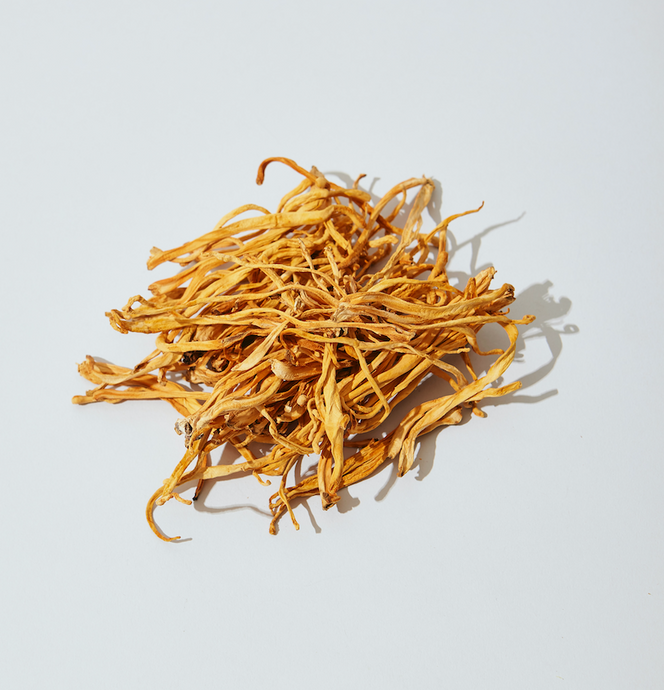 What are Cordyceps?