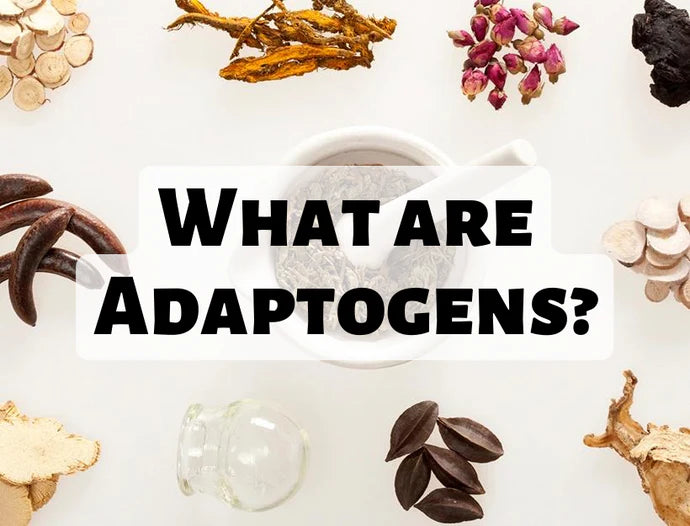 Adaptogens 101: A Deep Dive into Nature's Pharmaceuticals – élevé
